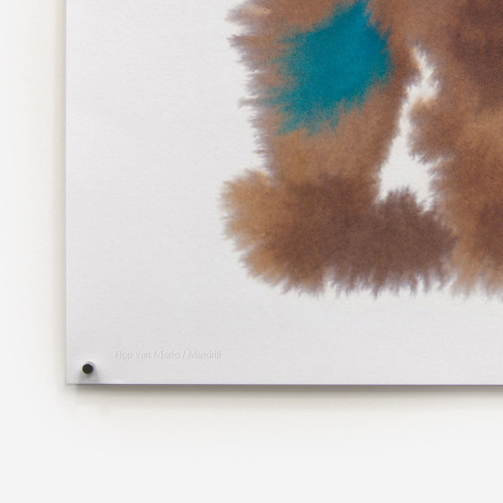 Mandrill Rop van Mierlo