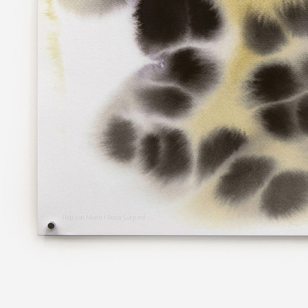 Snow Leopard Rop van Mierlo
