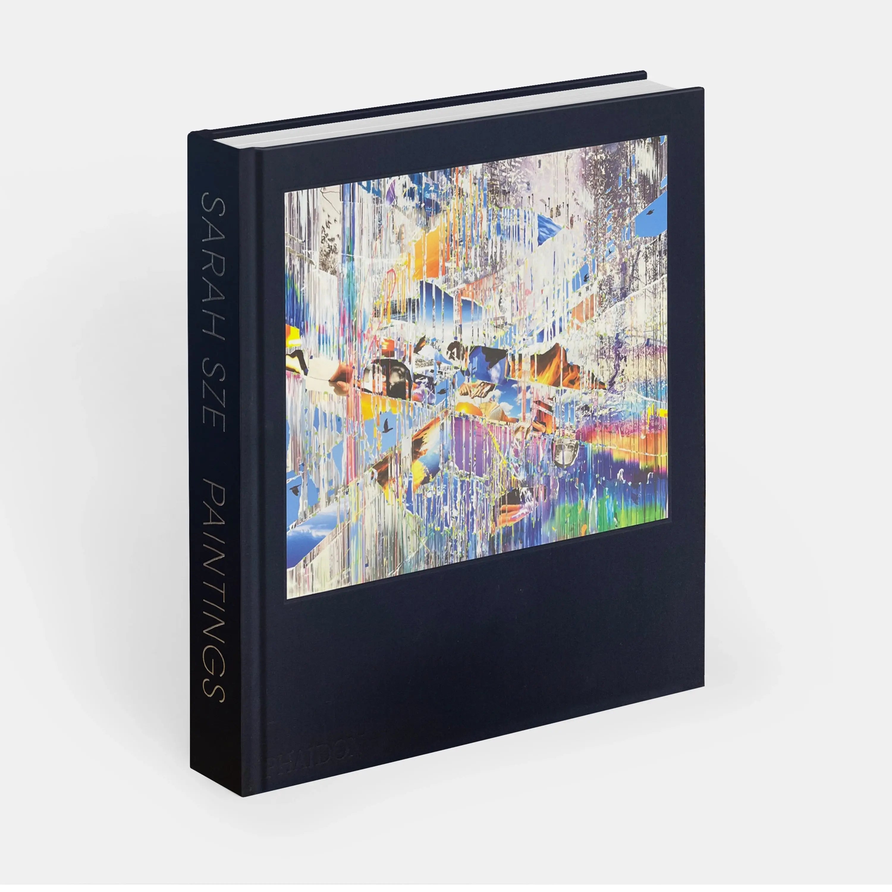 Phaidon Sarah Sze, Paintings 