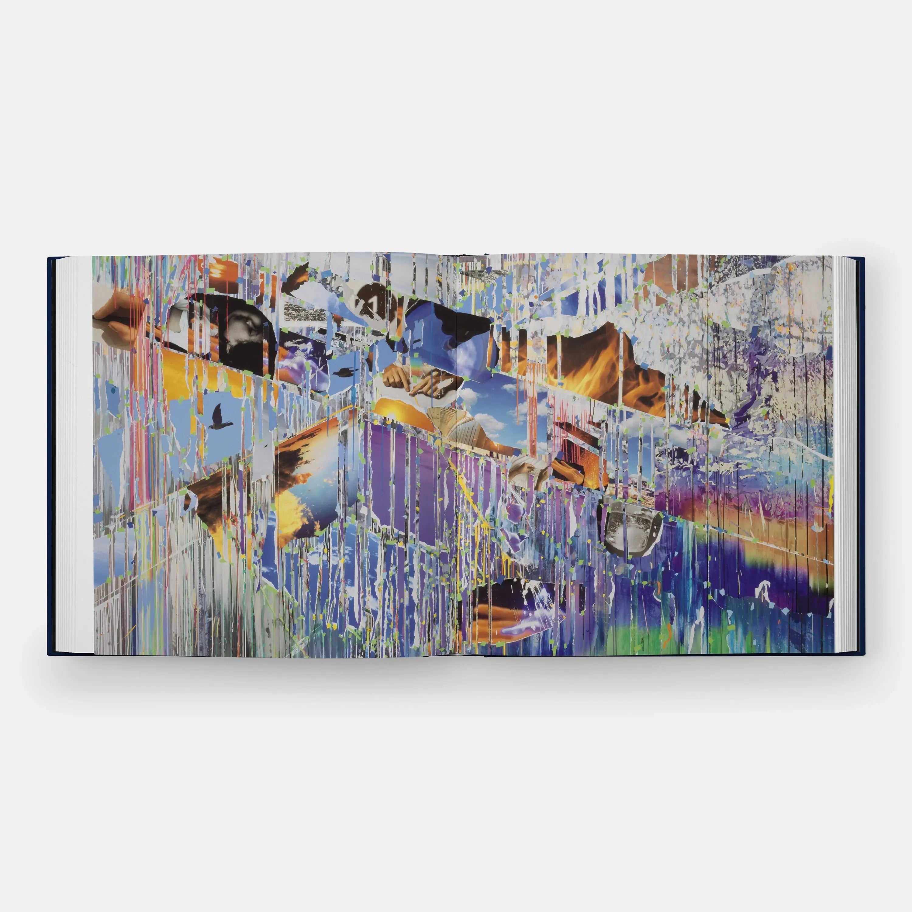 Phaidon Sarah Sze, Paintings 