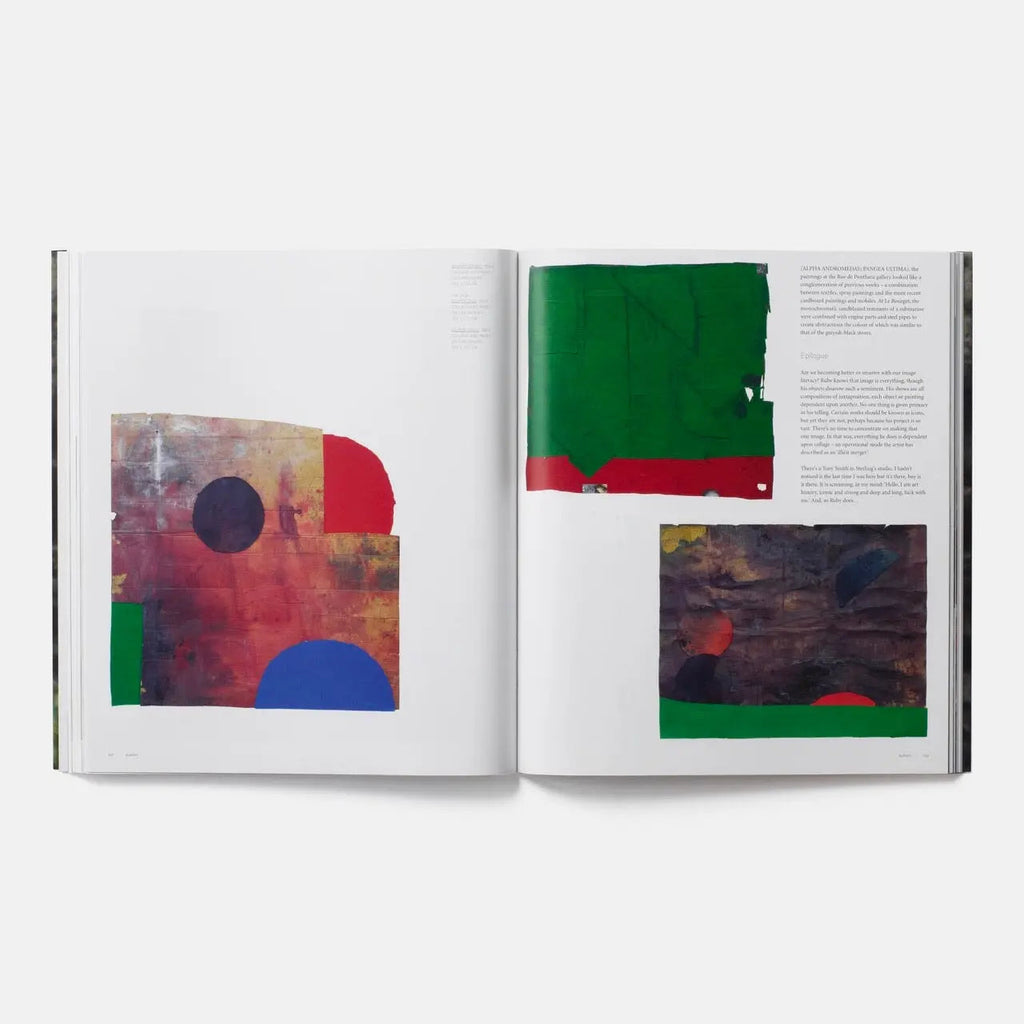 Phaidon Sterling Ruby 