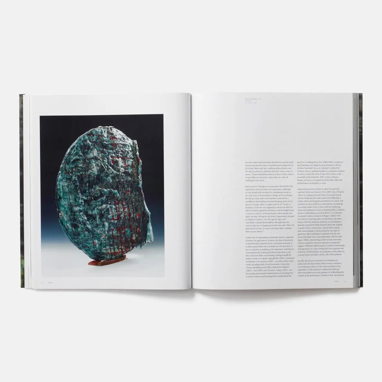Phaidon Sterling Ruby 