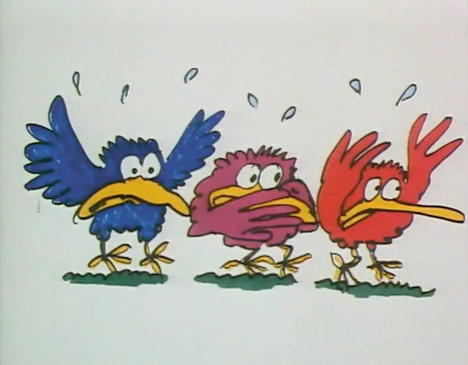 Das Roobarb und CustardBuch CHOSAY