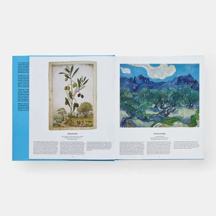 Tree: Exploring the Arboreal World Phaidon