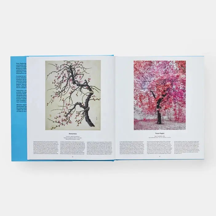 Tree: Exploring the Arboreal World Phaidon