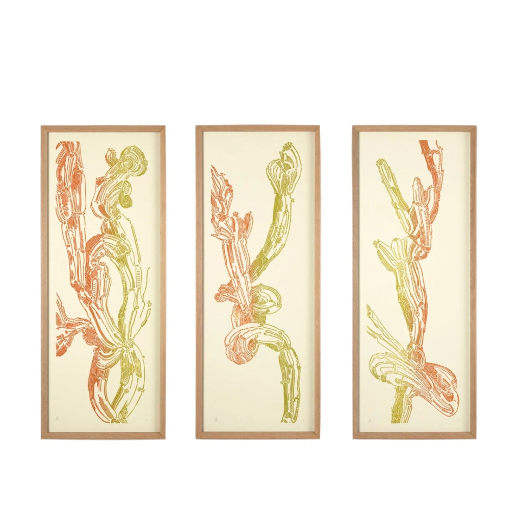 Crestata, Triptych – Edition Bethan Laura Wood