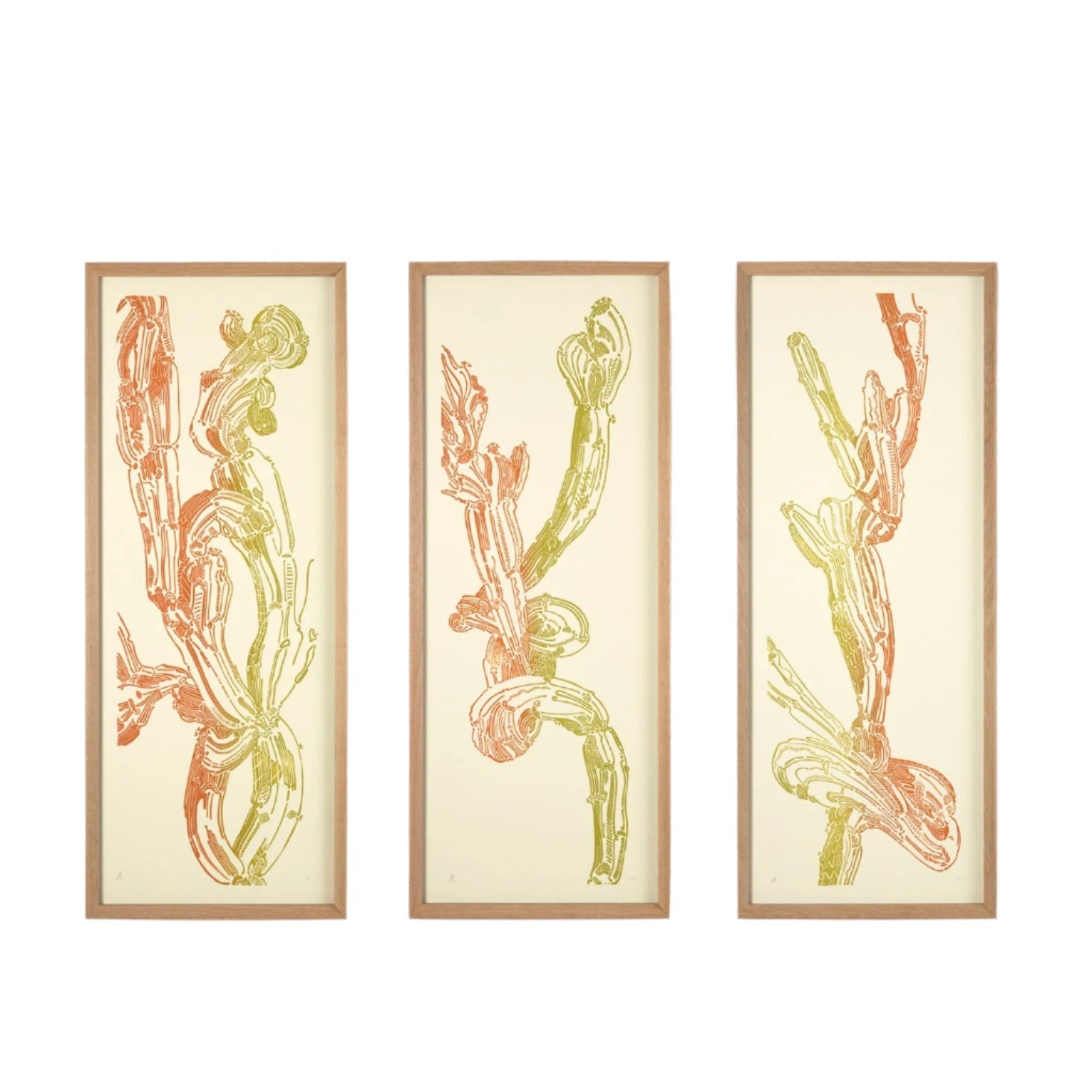 Crestata, Triptych – Edition Bethan Laura Wood