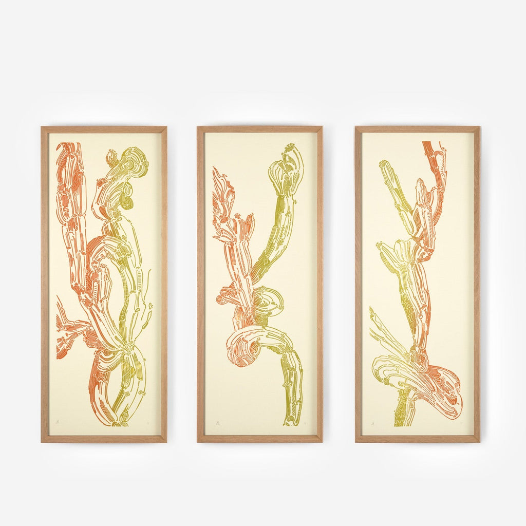 Crestata, Triptych – Edition