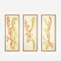 Crestata, Triptych – Edition