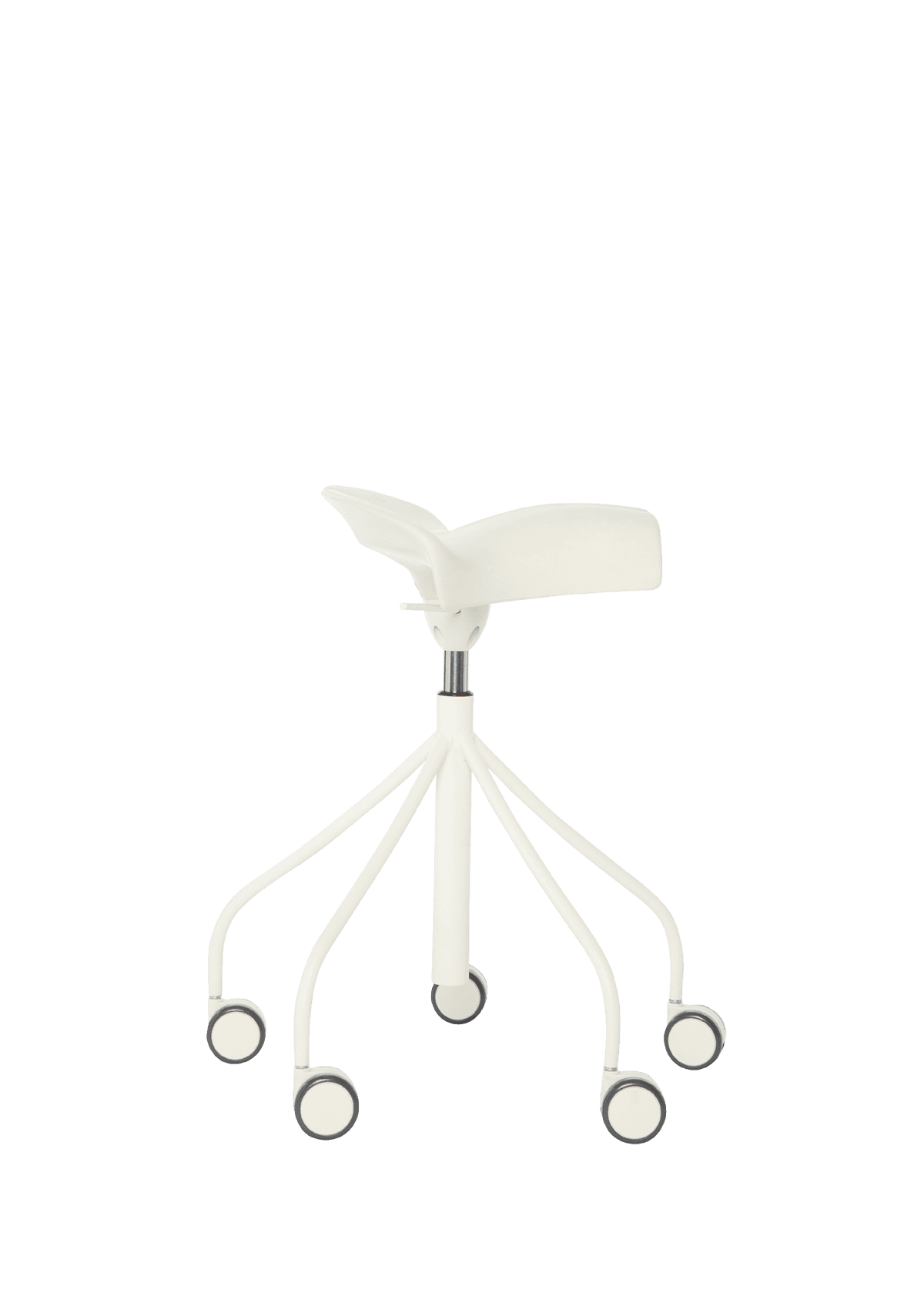 Binaria BD Barcelona