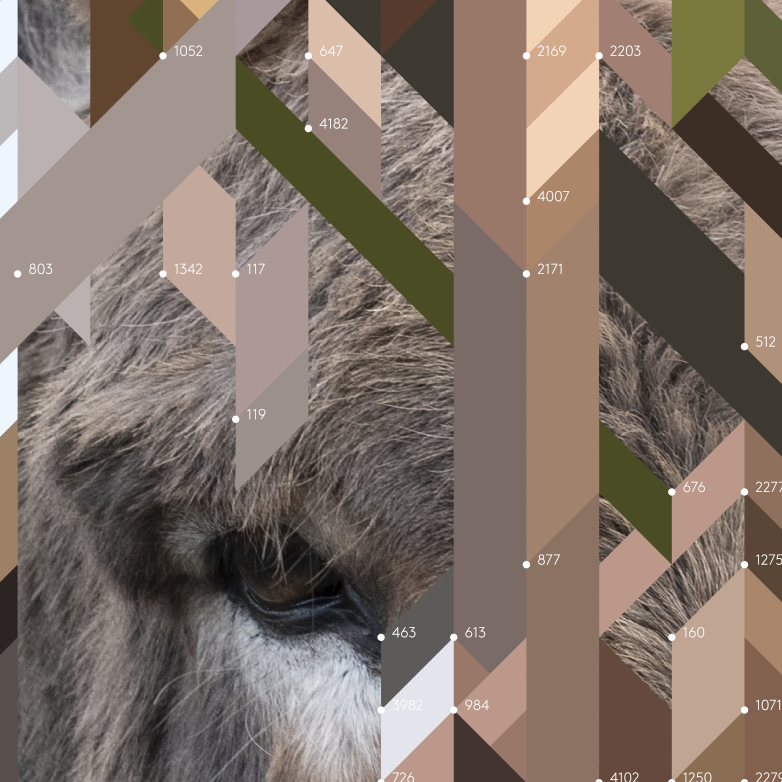 The Donkey – Edition Erwan Bouroullec