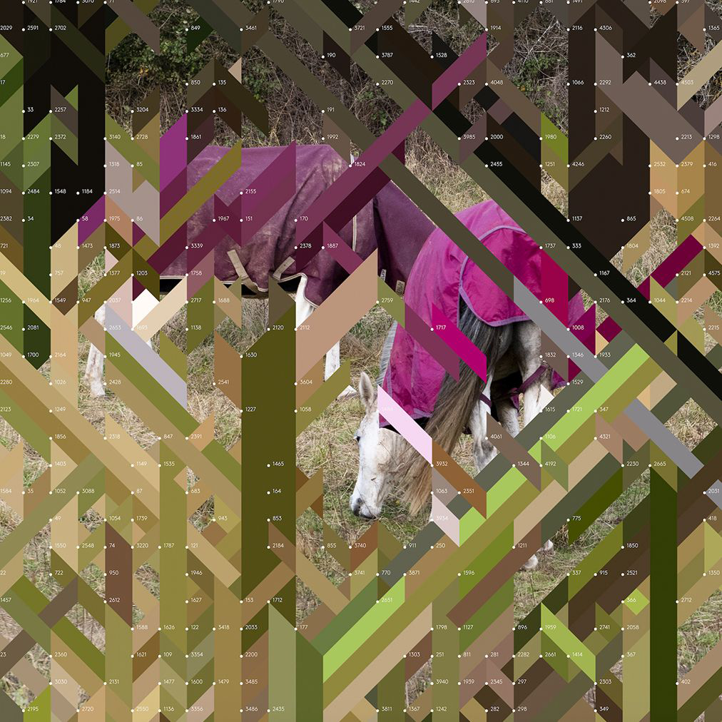 Two Purple Dressed Horses – Edition Erwan Bouroullec